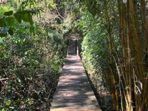 Paisagem 04
