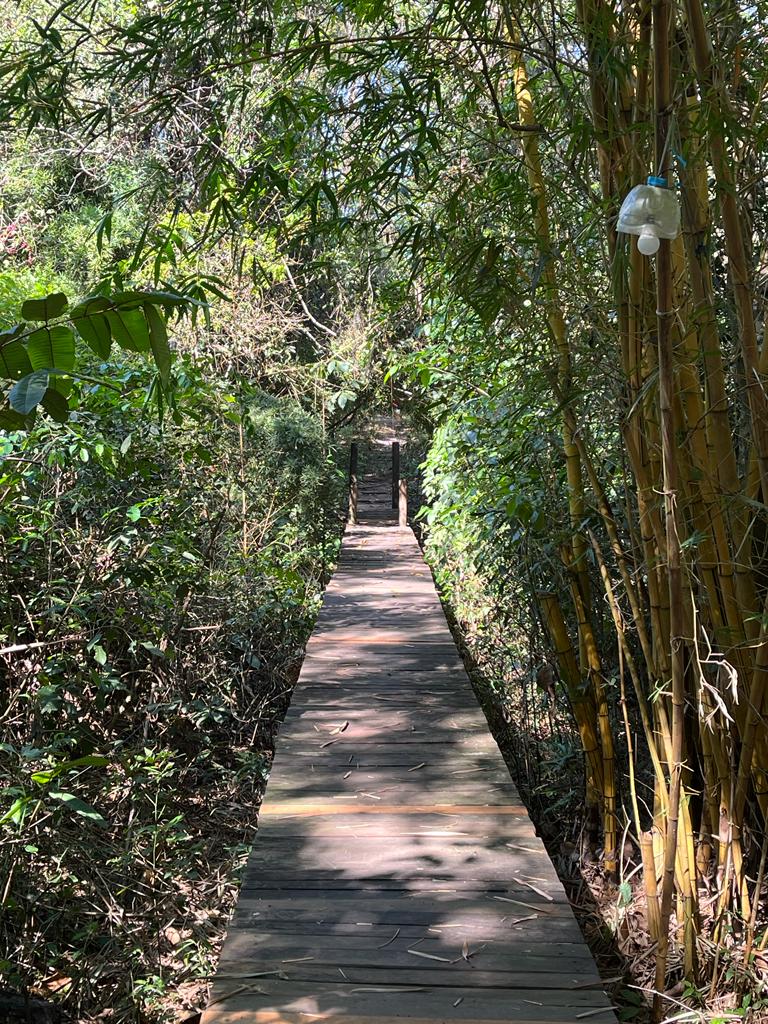 Natureza por todos os lados