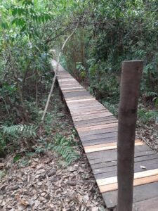 Paisagem 06
